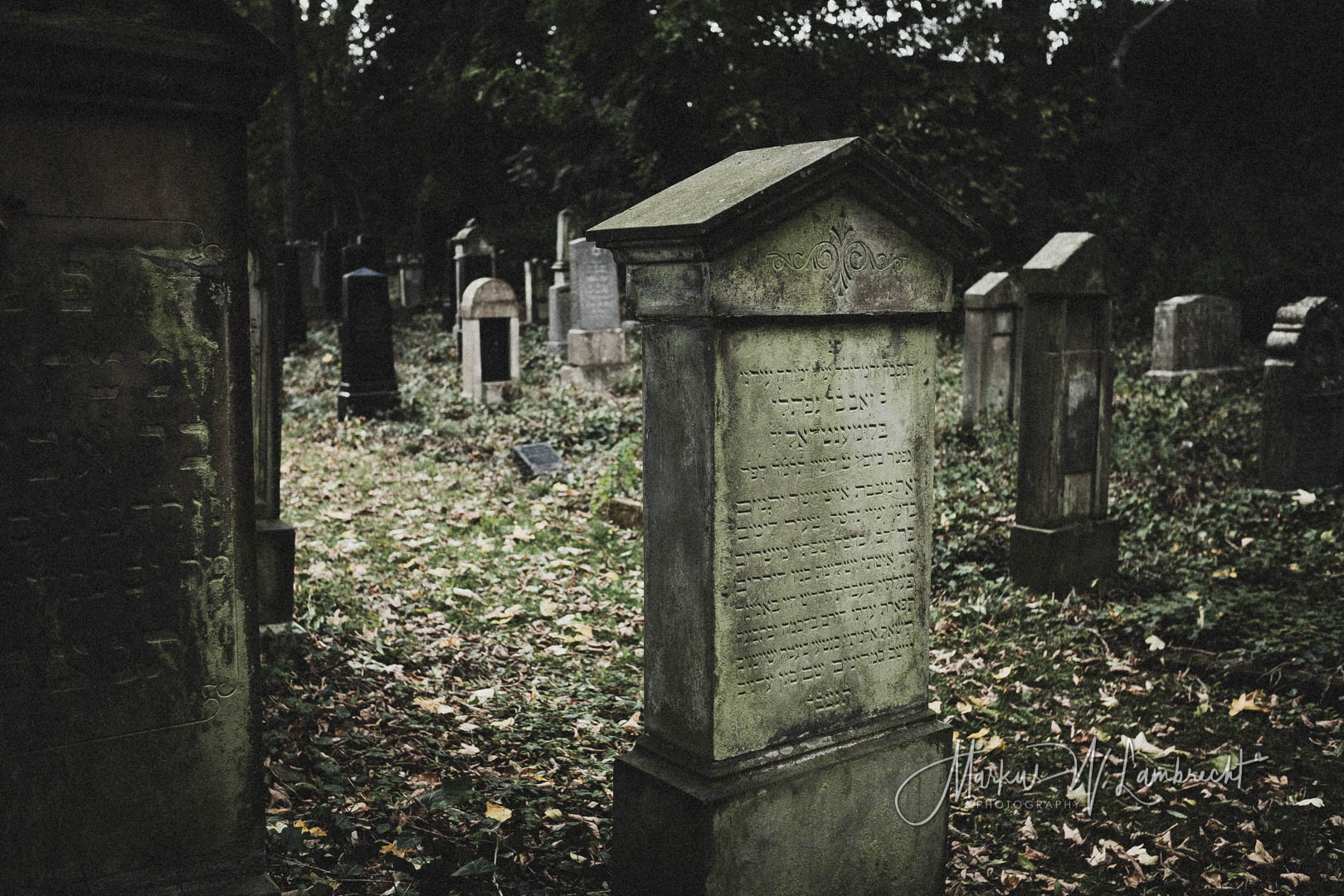Steinheim (Westfalen), Jüdischer Friedhof
